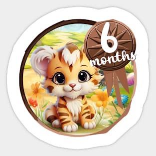 Baby - 6 months Sticker